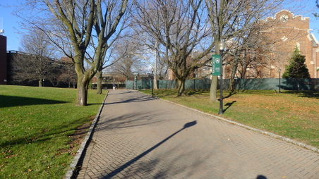 Enlarge photo 58