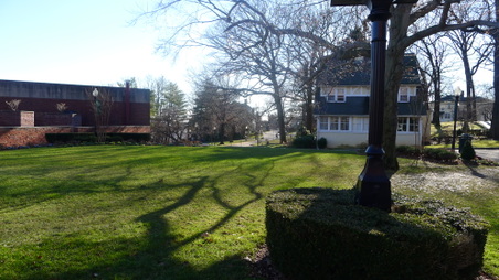 Enlarge photo 62