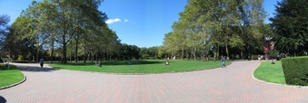 Enlarge photo 191