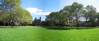 Enlarge photo 192