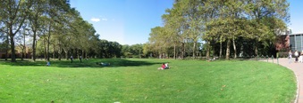 Enlarge photo 193