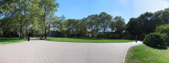 Enlarge photo 195