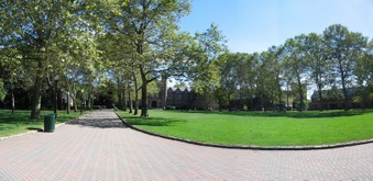 Enlarge photo 196