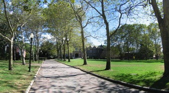 Enlarge photo 197
