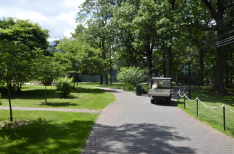 Enlarge photo 93