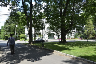 Enlarge photo 94