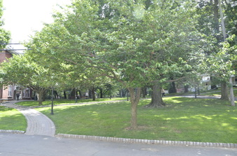 Enlarge photo 95