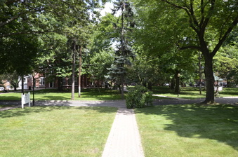 Enlarge photo 133