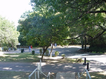 Enlarge photo 203