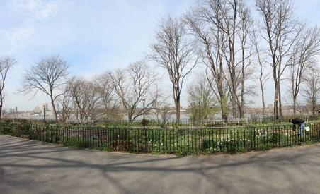 Enlarge photo 10