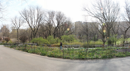 Enlarge photo 13