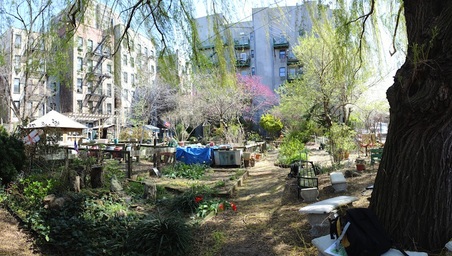 Enlarge photo 6