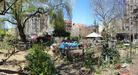 Enlarge photo 9