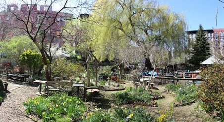 Enlarge photo 12