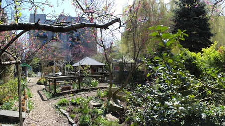 Enlarge photo 19