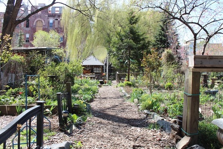 Enlarge photo 24
