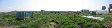 Enlarge photo 17