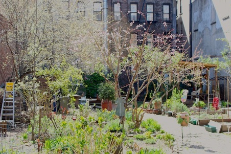 Enlarge photo 9