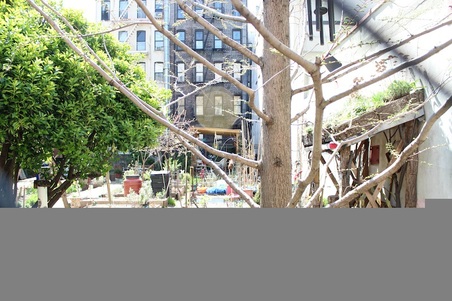 Enlarge photo 12