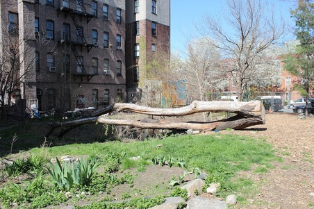 Enlarge photo 8