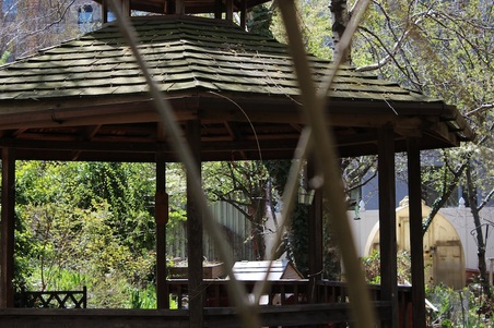 Enlarge photo 16