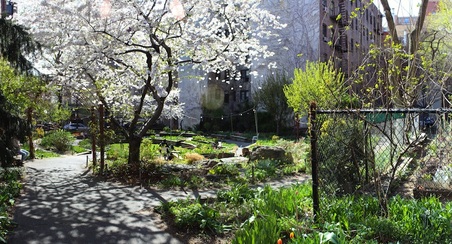 Enlarge photo 12