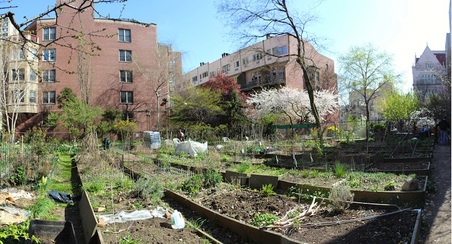 Enlarge photo 16