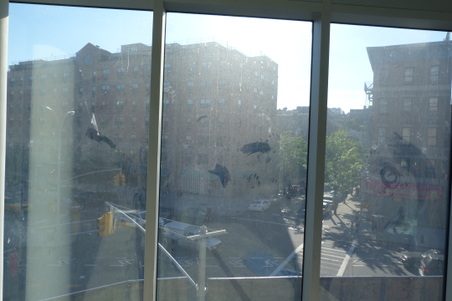 Enlarge photo 39