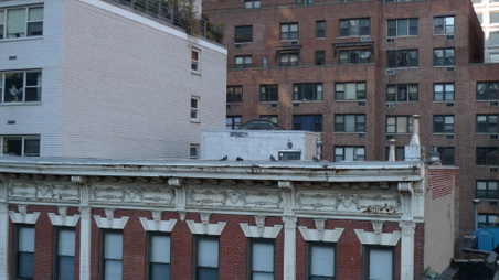Enlarge photo 20