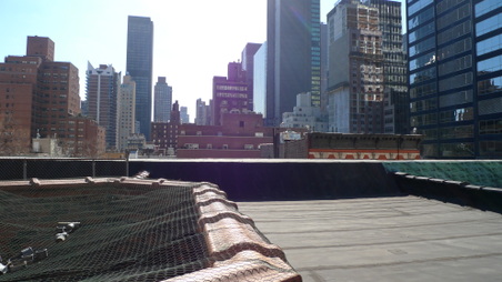 Enlarge photo 22