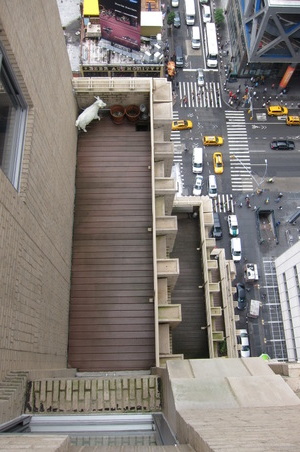 Enlarge photo 30