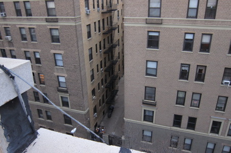 Enlarge photo 4