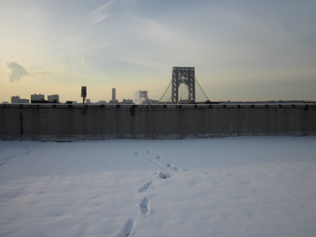 Enlarge photo 11