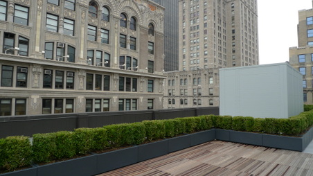 Enlarge photo 34