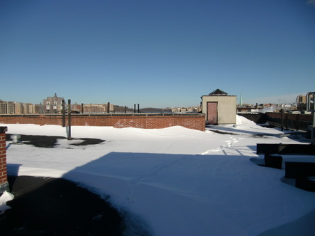 Enlarge photo 15