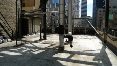 Enlarge photo 7