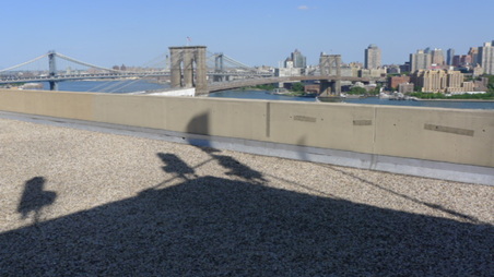 Enlarge photo 14