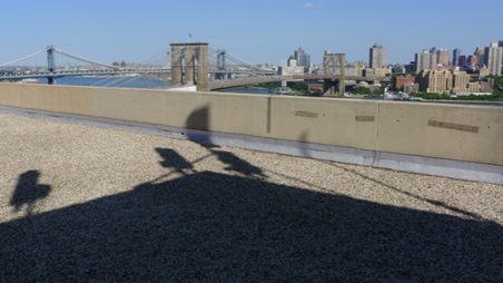 Enlarge photo 12