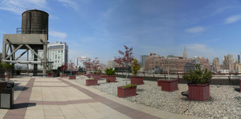 Enlarge photo 13