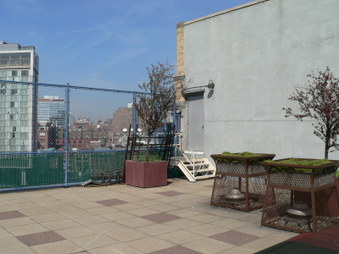 Enlarge photo 30