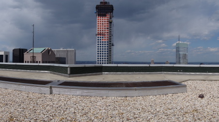 Enlarge photo 27