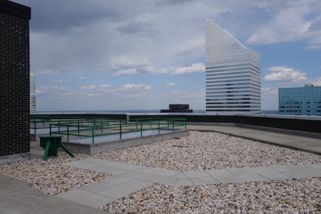 Enlarge photo 75