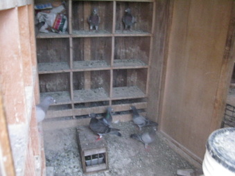 Enlarge photo 5