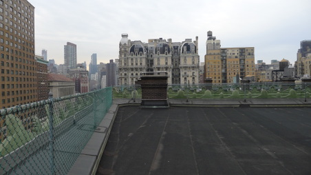 Enlarge photo 10