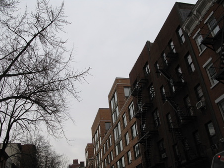 Enlarge photo 40