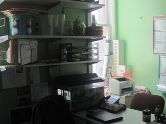 Enlarge photo 42