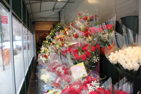 Enlarge photo 10