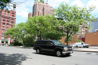 Enlarge photo 15