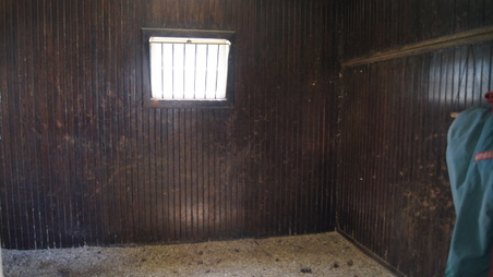 Enlarge photo 37
