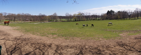 Enlarge photo 53